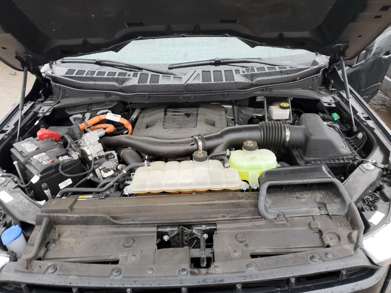 2023 FORD F150 SUPERCREW VIN:1FTFW1ED0PFB45556