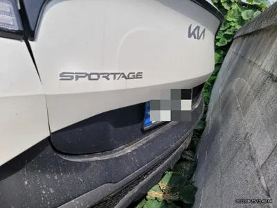 2022 Kia Sportage KNAPX81GBNK007928 VIN:KNAPX81GBNK007928