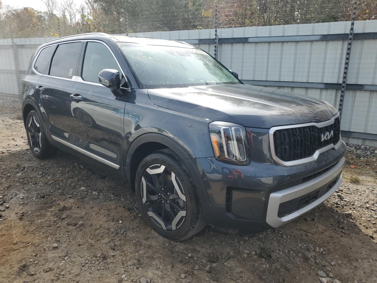 2024 KIA TELLURIDE EX VIN:5XYP34GC2RG425904