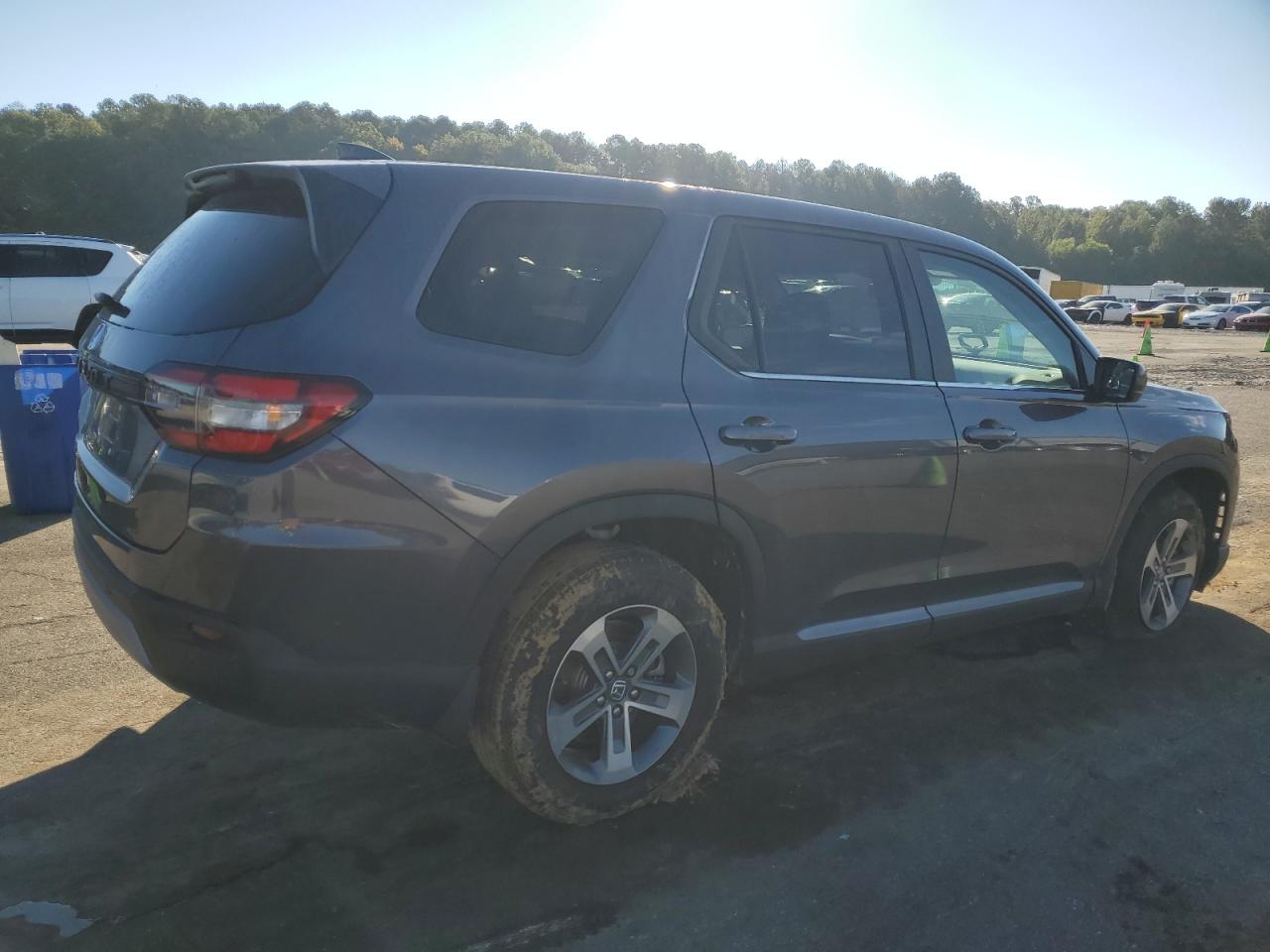 2024 HONDA PILOT EXL VIN:5FNYG1H49RB041981