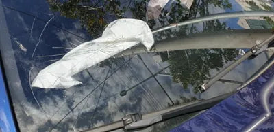 2016 BMW 520 WBA5E7107GG565486 VIN:WBA5E7107GG565486