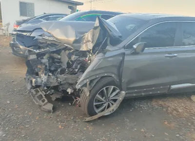 2020 Hyundai Santa FE KMKMHS281BBLU2313 VIN:KMKMHS281BBLU2313