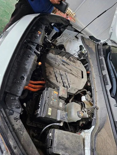 2020 Hyundai Kona KMHK381GFLU110785 VIN:KMHK381GFLU110785