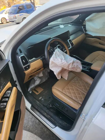 2020 Kia Sorento KNARF81BHMA008085 VIN:KNARF81BHMA008085