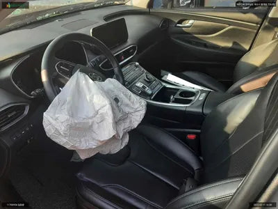 2020 Hyundai Santa FE KMHS281HGMU311064 VIN:KMHS281HGMU311064