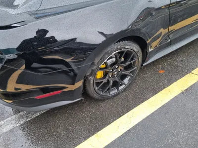 2019 Ford Mustang VIN: