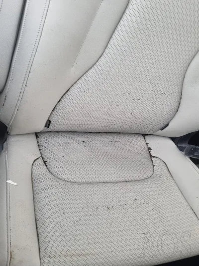 2021 Kia Carnival KNANC81BBNS142872 VIN:KNANC81BBNS142872