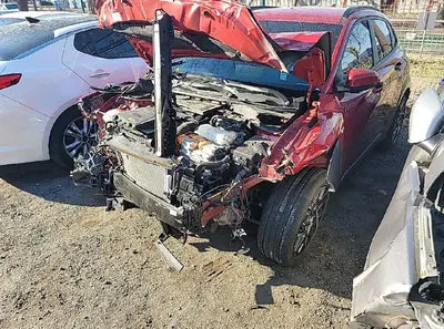 2020 Hyundai Kona KMHK381EGLU034788 VIN:KMHK381EGLU034788