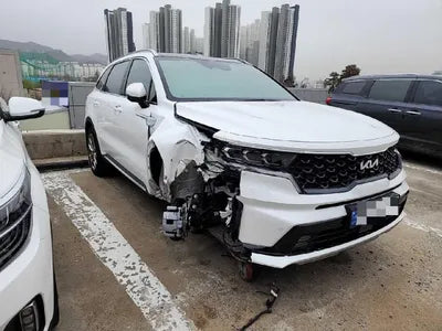 2023 Kia Sorento KNARF81BHPA198142 VIN:KNARF81BHPA198142
