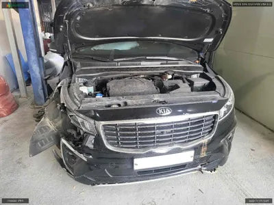 2018 Kia Carnival KNAME811BKS517205 VIN:KNAME811BKS517205