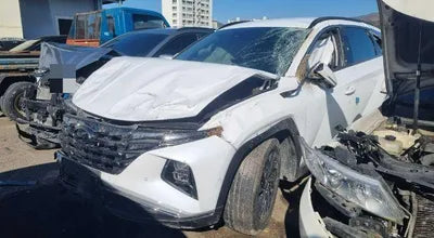 2021 Hyundai Tucson KMHJE811BMU009800 VIN:KMHJE811BMU009800