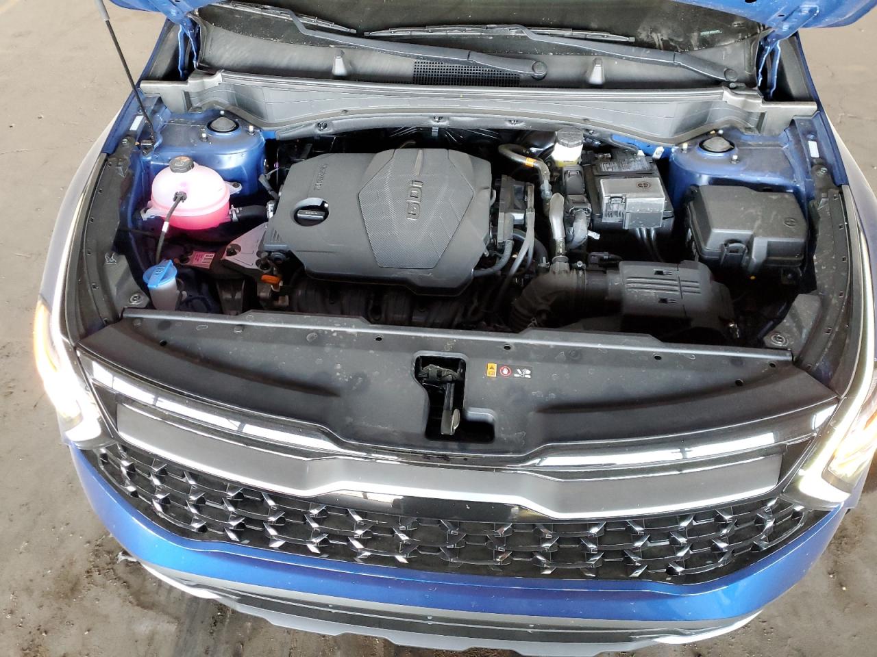 2024 KIA SPORTAGE X LINE VIN:5XYK6CDF3RG205052