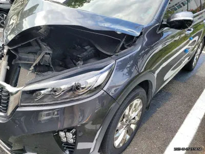 2019 Kia Sorento KNAPS81ABKA514794 VIN:KNAPS81ABKA514794