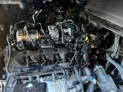2021 Kia Carnival KNANE81BBMS002533 VIN:KNANE81BBMS002533