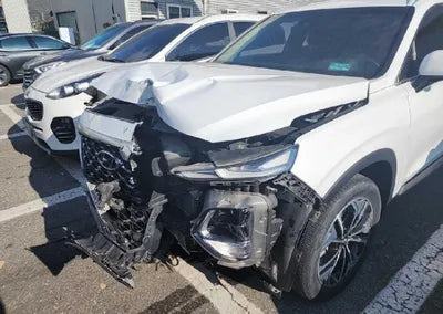 2019 Hyundai Santa FE KMHS381ABKU112387 VIN:KMHS381ABKU112387