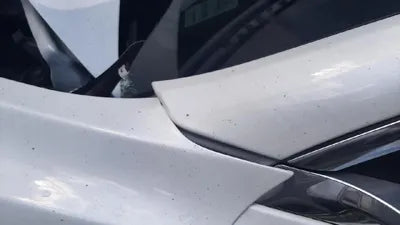 2020 Tesla Model 3 5YJ3E1EB7LF727091 VIN:5YJ3E1EB7LF727091