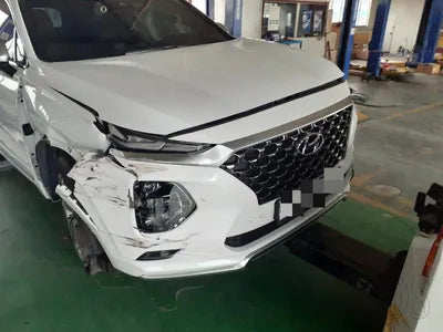 2019 Hyundai Santa FE KMHS581ABLU247207 VIN:KMHS581ABLU247207