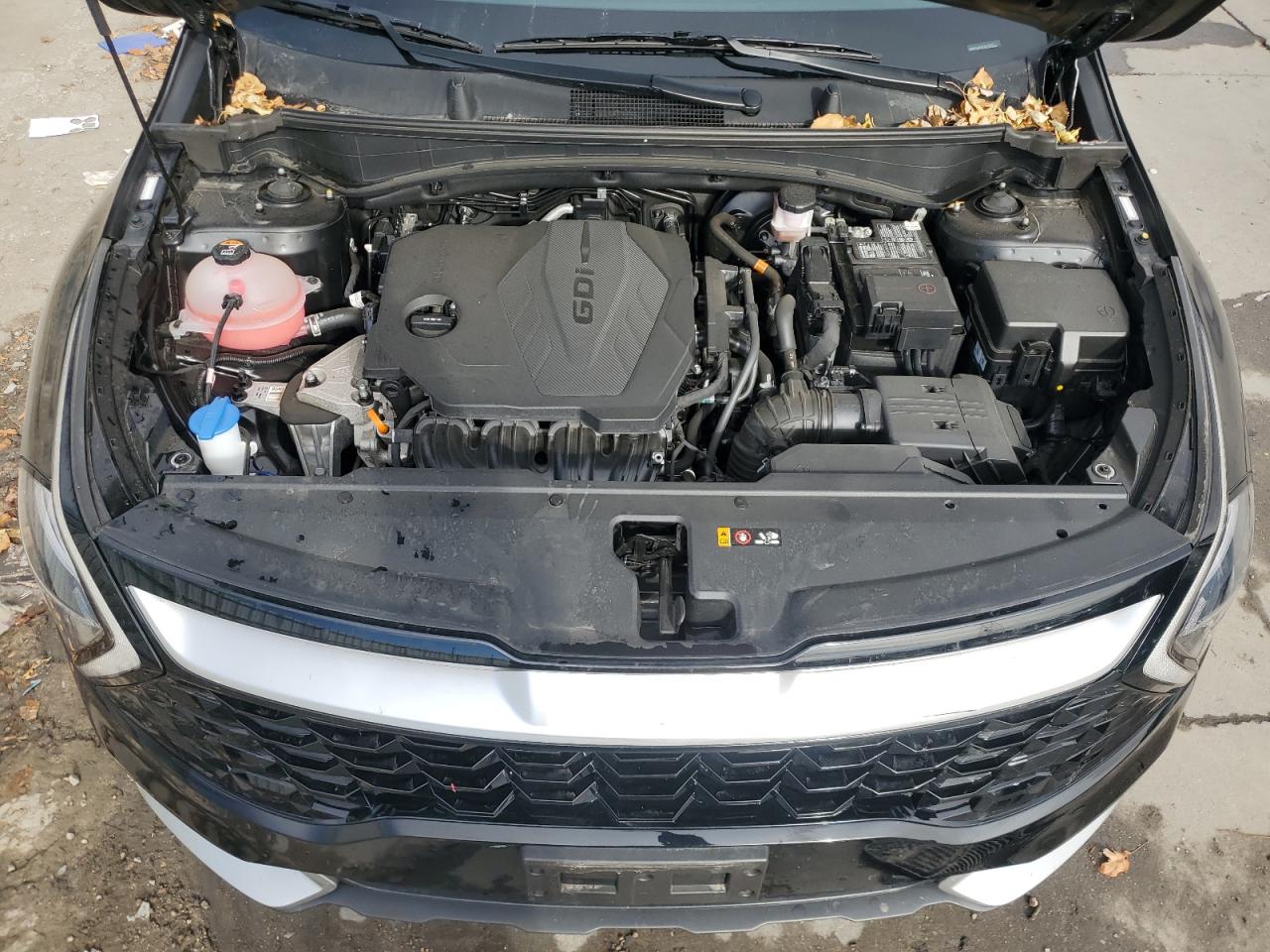 2023 KIA SPORTAGE EX VIN:5XYK3CAF3PG011485