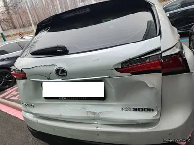 2016 Lexus NX 300 JTJBJRBZ4G2030216 VIN:JTJBJRBZ4G2030216