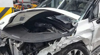 2021 Kia Carnival KNANC81BBMS037923 VIN:KNANC81BBMS037923