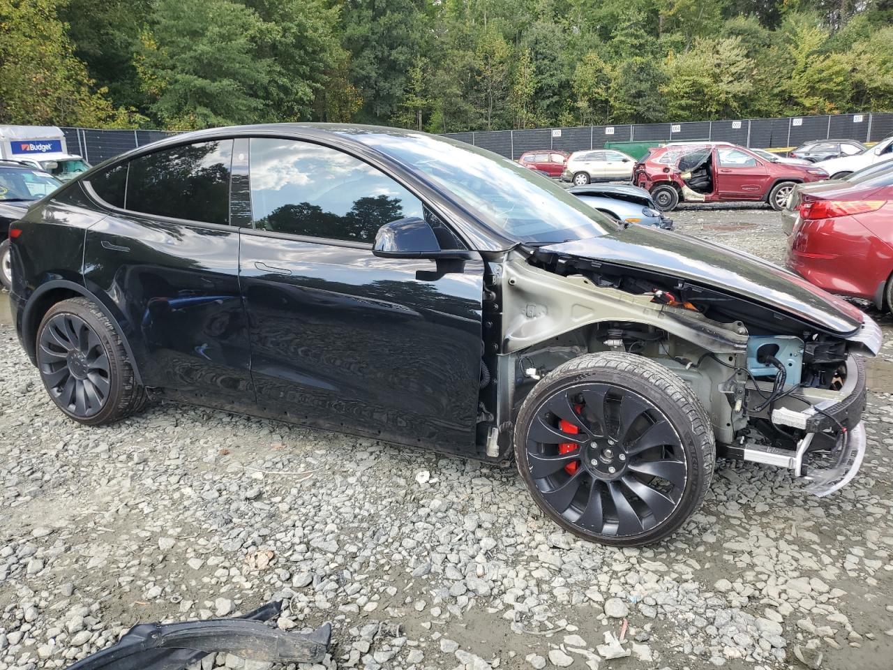 2022 TESLA MODEL Y  VIN:7SAYGDEF1NF516446