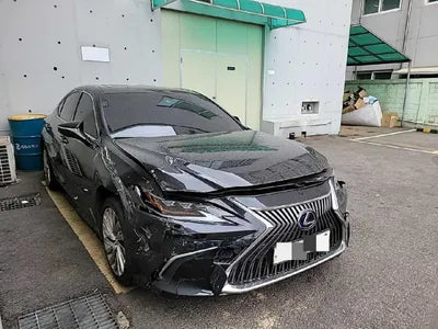 2020 Lexus ES 300 JTHBA1C18M2000918 VIN:JTHBA1C18M2000918