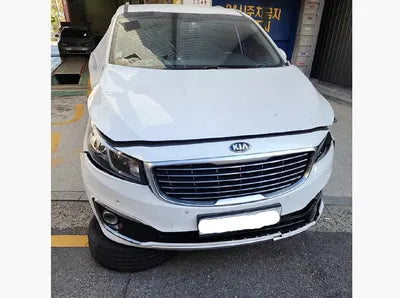 2016 Kia Carnival KNAMB81ABGS161928 VIN:KNAMB81ABGS161928