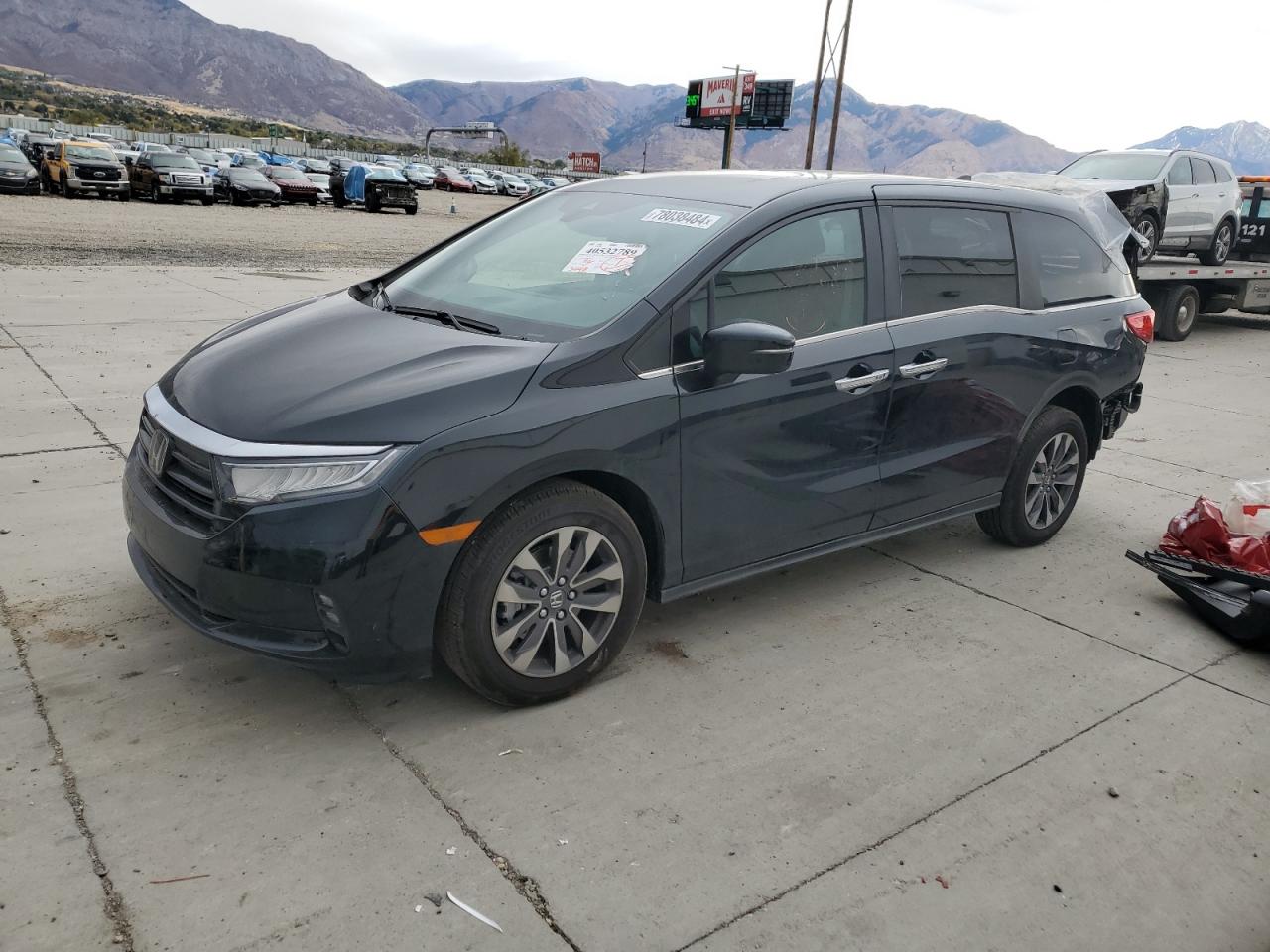 2024 HONDA ODYSSEY EXL VIN:5FNRL6H66RB066237