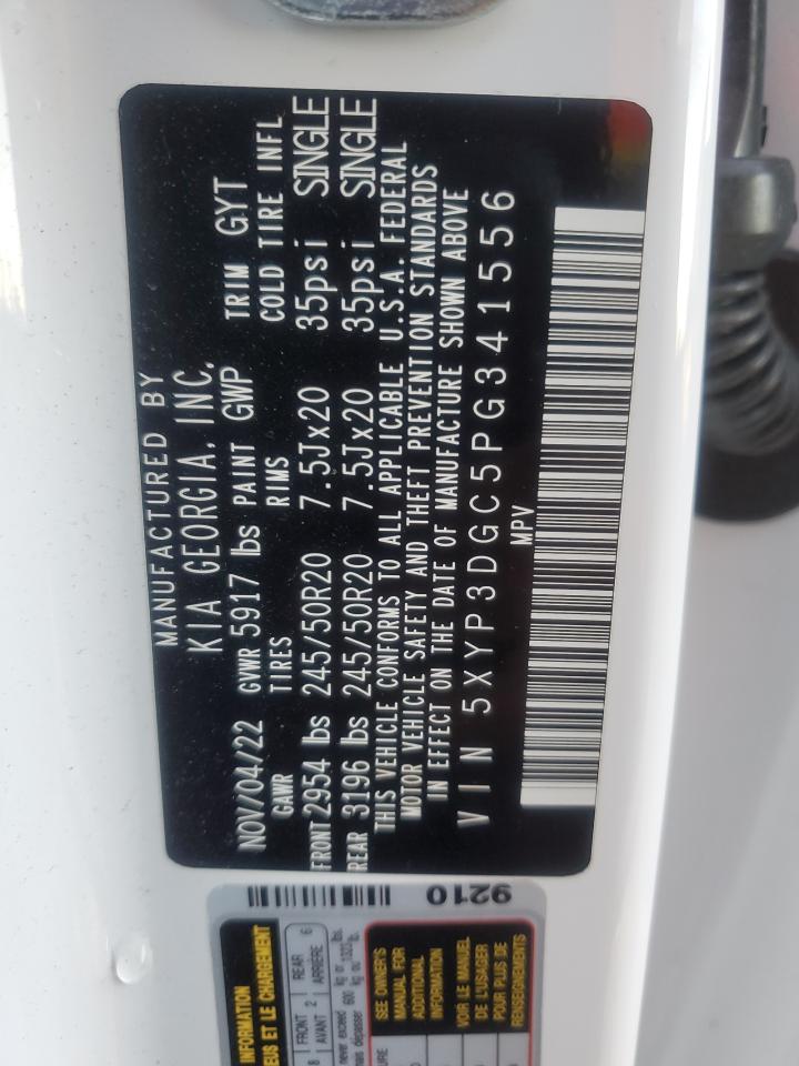2023 KIA TELLURIDE EX VIN:5XYP3DGC5PG341556