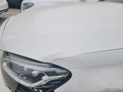 2019 Mercedes-Benz C 220 WDDWJ1FB2KF894336 VIN:WDDWJ1FB2KF894336