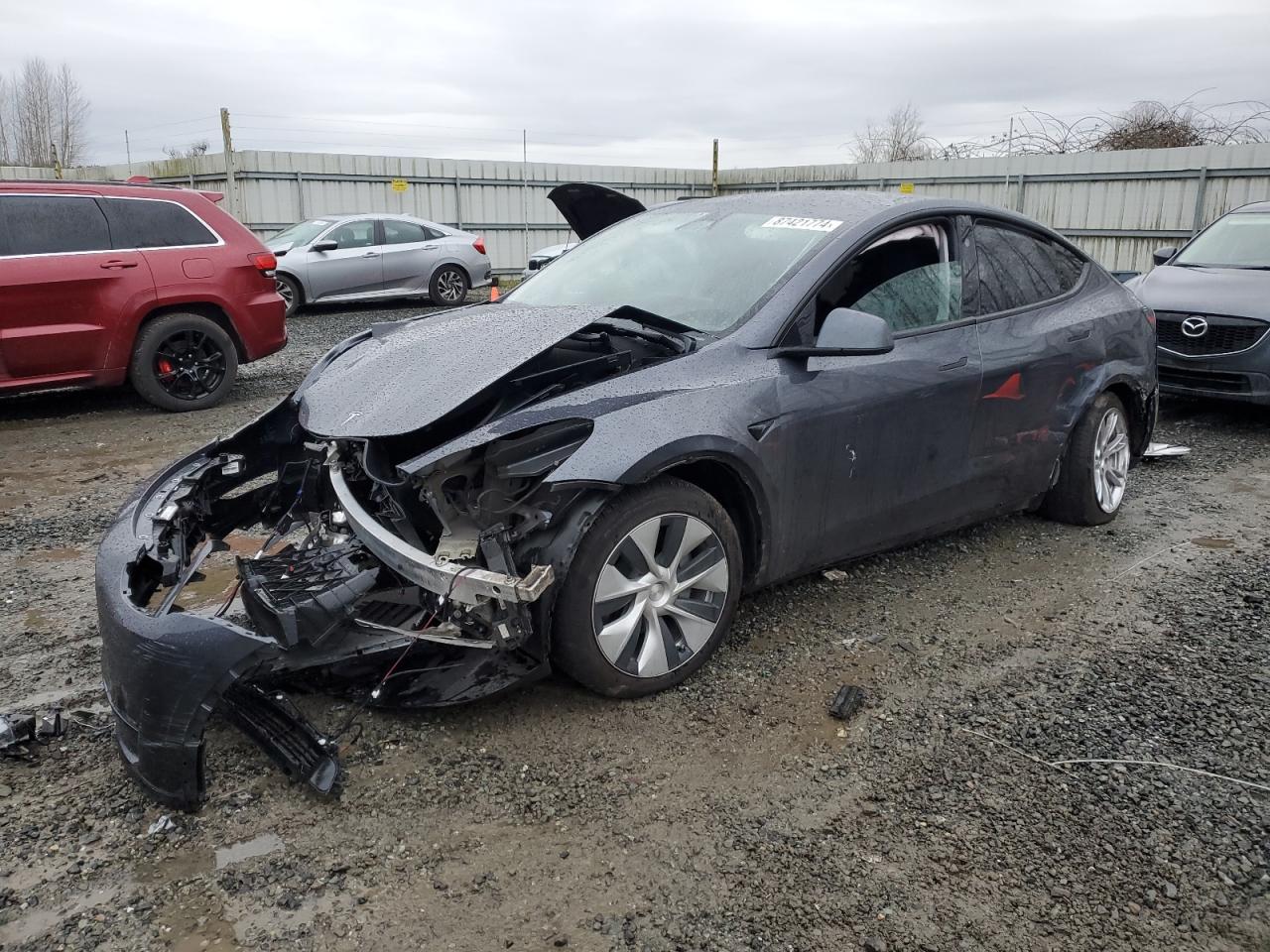 2023 TESLA MODEL Y  VIN:7SAYGDEE0PF962033