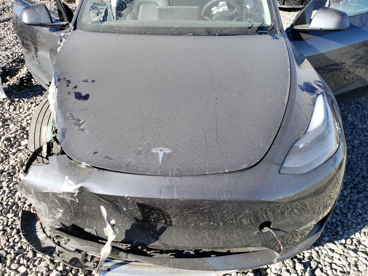 2024 TESLA MODEL Y  VIN:7SAYGDEE7RA242809