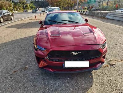 2020 Ford Mustang 1FA6P8TH3L5144872 VIN:1FA6P8TH3L5144872