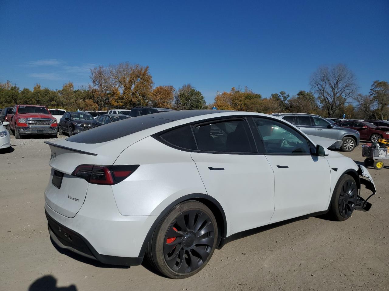 2024 TESLA MODEL Y  VIN:7SAYGDEF5RA274117