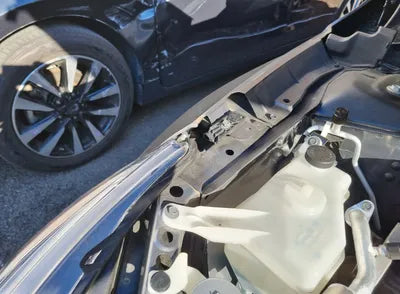 2019 Nissan Altima 1N4BL4AV6KC231221 VIN:1N4BL4AV6KC231221