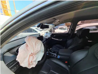 2019 Hyundai Santa FE KMHS381BBKU156411 VIN:KMHS381BBKU156411