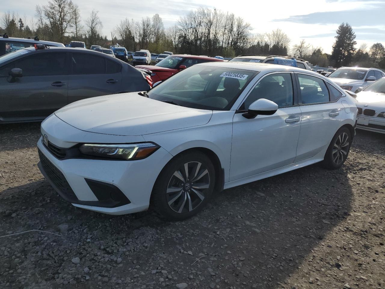 2023 HONDA CIVIC EX VIN:2HGFE1F77PH321367