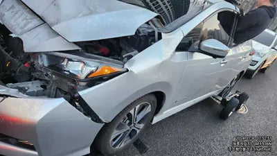 2019 Nissan Leaf 1N4AZ1CP0KC311878 VIN:1N4AZ1CP0KC311878