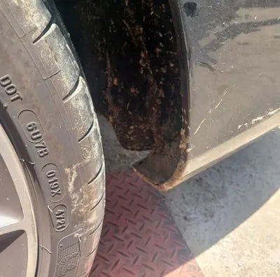 2021 Mercedes-Benz E 53 VIN: