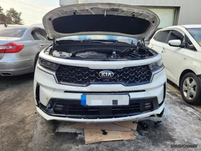 2020 Kia Sorento KNAPS81ABLA625226 VIN:KNAPS81ABLA625226