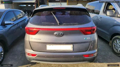 2015 Kia Sportage KNAPM813BGK004113 VIN:KNAPM813BGK004113