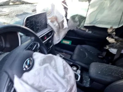 2020 Hyundai Santa FE KMHS381BBLU305856 VIN:KMHS381BBLU305856