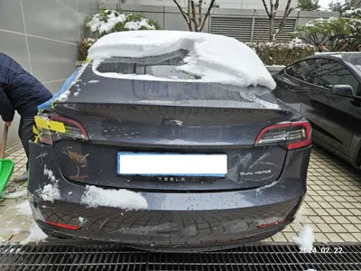 2020 Tesla Model 3 5YJ3E1EB7LF725423 VIN:5YJ3E1EB7LF725423