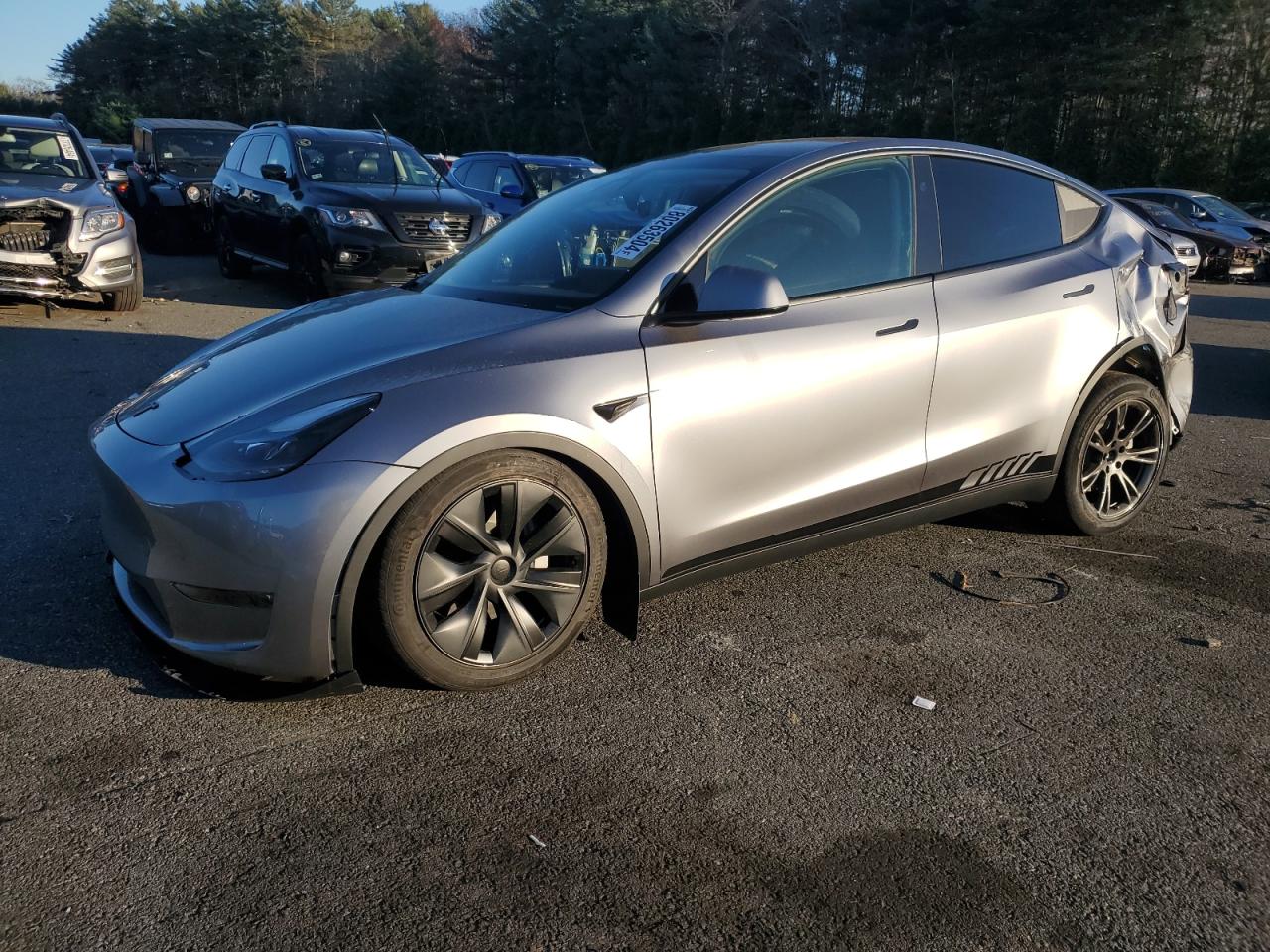 2024 TESLA MODEL Y  VIN:7SAYGDEEXRA300170