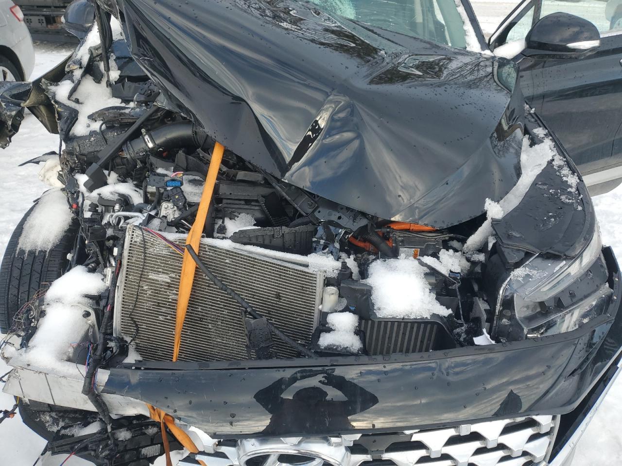 2023 HYUNDAI SANTA FE LIMITED VIN:5NMS5DA10PH013334