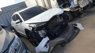 2019 Hyundai Tucson KMHJ5812GLU185228 VIN:KMHJ5812GLU185228