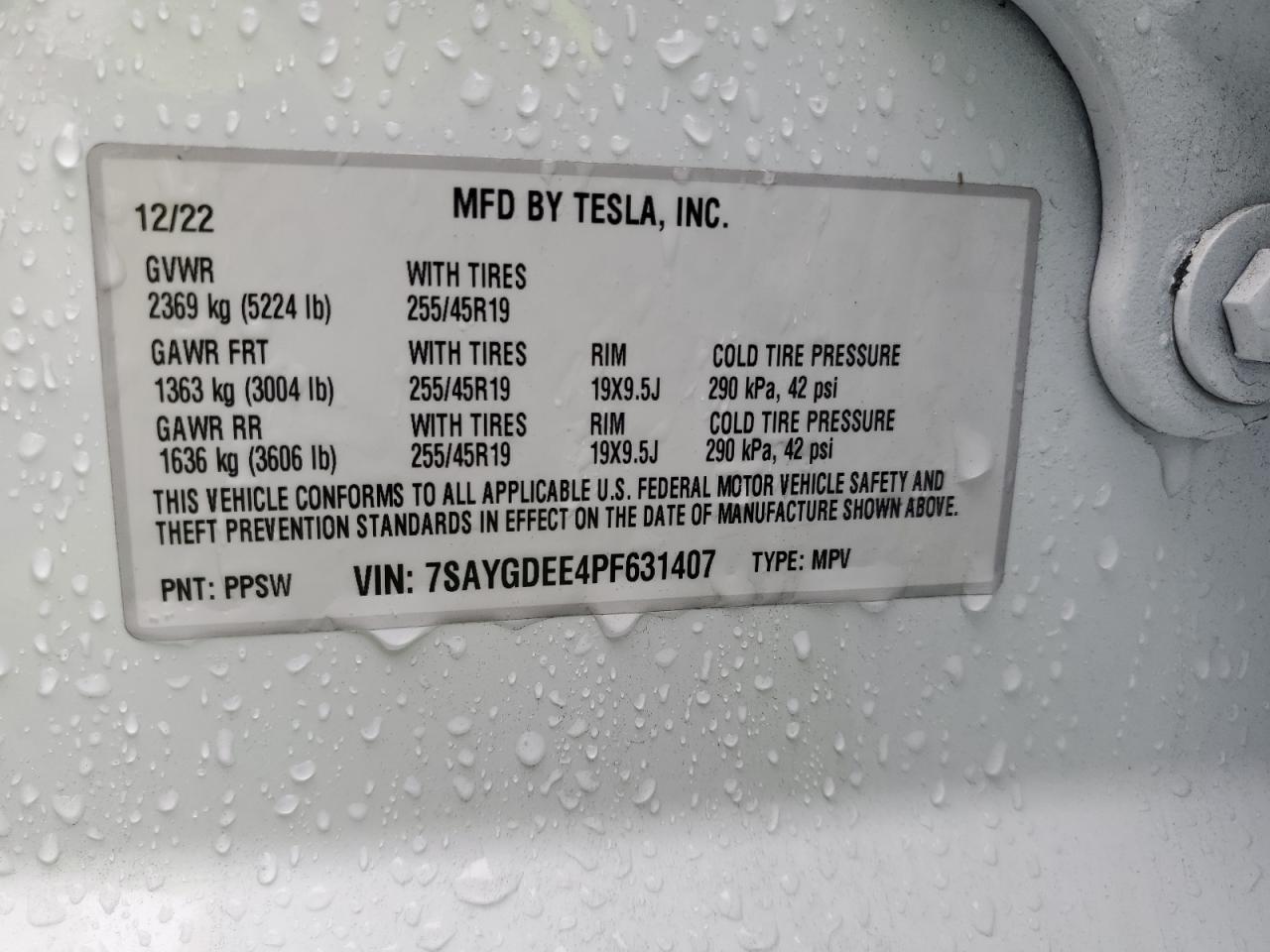 2023 TESLA MODEL Y  VIN:7SAYGDEE4PF631407
