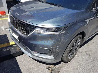 2021 Kia Carnival KNANC813BMS126332 VIN:KNANC813BMS126332
