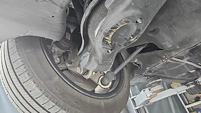2021 Tesla Model 3 5YJ3E1EAXMF889502 VIN:5YJ3E1EAXMF889502