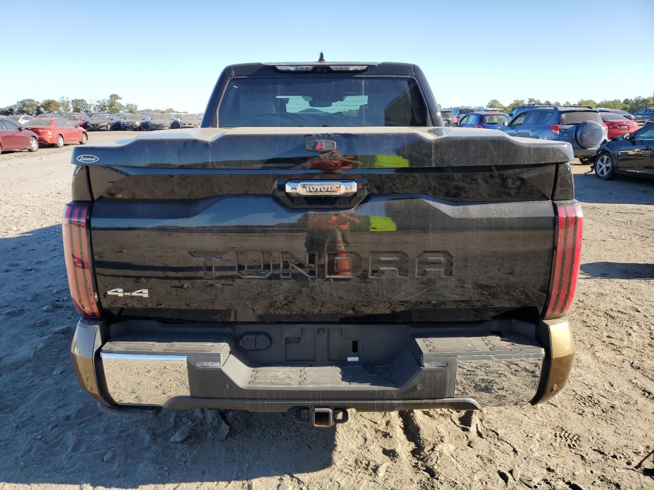 2022 TOYOTA TUNDRA CREWMAX PLATINUM VIN:5TFMA5DB6NX009193